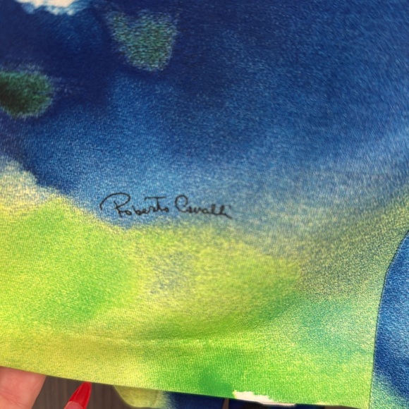 Roberto Cavalli Abstract Print Dress 💙💛💚🤍 - Picture 17 of 17